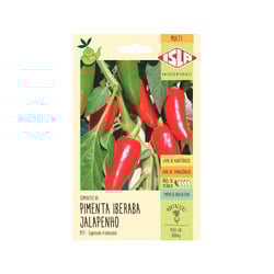 Semente Multi Pimenta Iberaba Jalapenho Isla Para Jardins