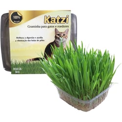Semente Para Graminha Katzi Para Gatos E Roedores - 90G