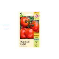 Semente Tomate Rasteiro Rio Grande Isla - Jardinagem