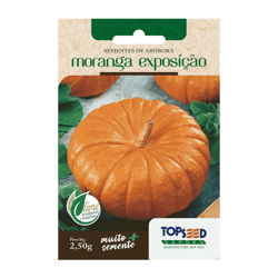 Sementes Abóbora Moranga Topseed Garden - 1 Unidade