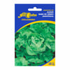 Sementes Alface Babá De Verão All Garden - Jardins