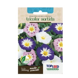 Sementes Bela Manhã Tricolor Topseed Garden - 1 Unidade