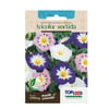 Sementes Bela Manhã Tricolor Topseed Garden - 1 Unidade
