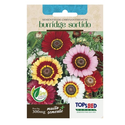 Sementes Chryanthemum Burridge Sortido Topseed Garden - 1 Unidade