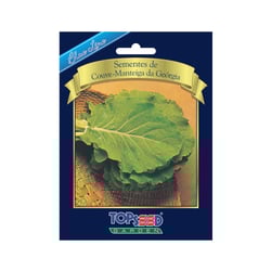 Sementes Couve Manteiga Topseed Garden - 1 Unidade