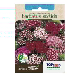 Sementes Cravina Barbatus Sortido Topseed - 1 Pacote