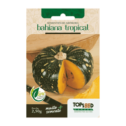 Sementes De Abóbora Bahiana Topseed Garden - 1 Unidade