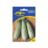Sementes De Abobrinha Caserta All Garden Para Jardins