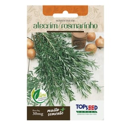 Sementes De Alecrim Rosmarinho Tradicional Topseed Garden - 1 Unidade