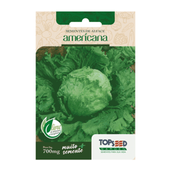 Sementes De Alface Americana Tradicional Topseed Garden - 1 Unidade