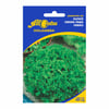 Sementes De Alface Crespa All Garden Para Verão - Jardins