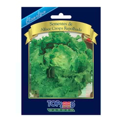 Sementes De Alface Crespa Repolhuda Blue Line Topseed Garden - 1 Unidade