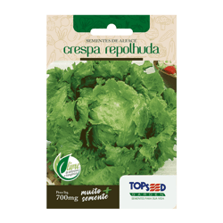 Sementes De Alface Crespa Topseed Garden - 1 Pacote