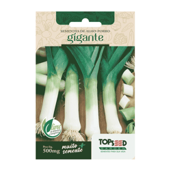 Sementes De Alho Porró Gigante Tradicional Topseed Garden - 1 Unidade