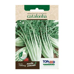 Sementes De Almeirão Catalonha Topseed Garden - 1 Unidade