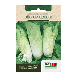 Sementes De Almeirão Topseed Garden Pão De Açúcar Tradicional - 1 Unidade