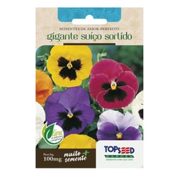 Sementes De Amor Perfeito Gigante Sortido Topseed Garden - 1 Unidade
