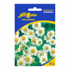 Sementes De Camomila All Garden Para Jardins