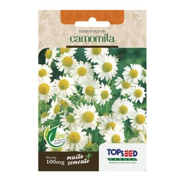 Sementes De Camomila Tradicional Topseed Garden - 1 Unidade