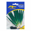 Sementes De Cebolinha All Garden - Jardim
