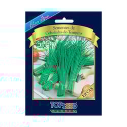 Sementes De Cebolinha Blue Line Topseed Garden - Único Pacote