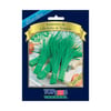 Sementes De Cebolinha Blue Line Topseed Garden - Único Pacote
