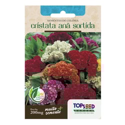 Sementes De Celósia Cristata Anã Sortida Topseed Garden - 1 Unidade