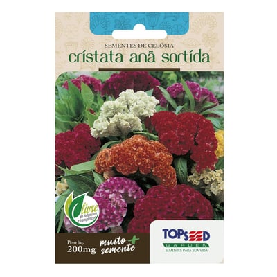 Sementes De Celósia Cristata Anã Sortida Topseed Garden - 1 Unidade