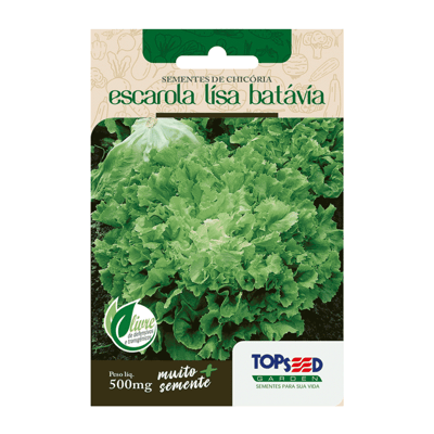 Sementes De Chicória Escarola Lisa Batávia Topseed Garden - 1 Unidade