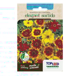 Sementes De Coreopsis Elegant Sortido Tradicional Topseed Garden - 1 Unidade