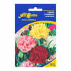 Sementes De Cravo Chabaud Sortido All Garden Para Jardins