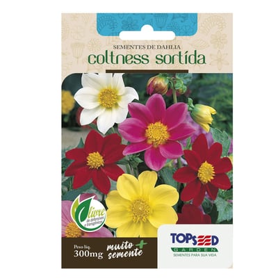 Sementes De Dahlia Coltness Sortida Tradicional Topseed Garden - Único