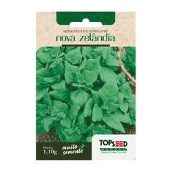 Sementes De Espinafre Nova Zelândia Topseed Garden Único - 1 Unidade