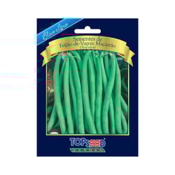 Sementes De Feijão Vagem Trepador Blue Line Topseed Garden - 1 Unidade
