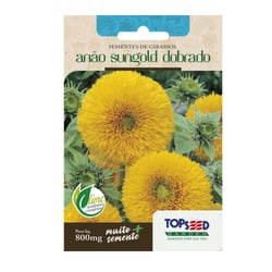 Sementes De Girassol Anão Sungold Dobrado Topseed Garden - 1 Unidade