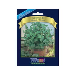 Sementes De Hortelã Menta Blue Line Topseed Garden - 1 Unidade