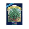 Sementes De Hortelã Menta Blue Line Topseed Garden - 1 Unidade