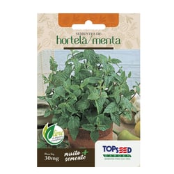 Sementes De Hortelã Tradicional Topseed Garden - 1 Unidade