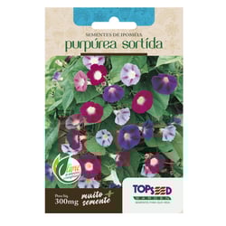 Sementes De Ipomeia Purpúrea Tradicional Topseed Garden - 1 Unidade