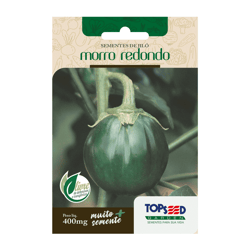 Sementes De Jiló Morro Redondo Topseed Garden - 1 Unidade