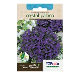 Sementes De Lobélia Crystal Palace Tradicional Topseed Garden - 1 Unidade
