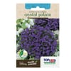 Sementes De Lobélia Crystal Palace Tradicional Topseed Garden - 1 Unidade
