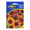 Sementes De Margarida Amarela Gloriosa All Garden - Sortida