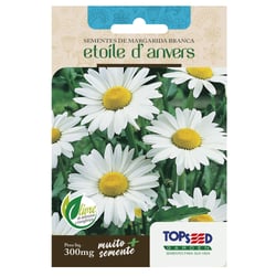 Sementes De Margarida Branca Topseed Garden - 1 Unidade