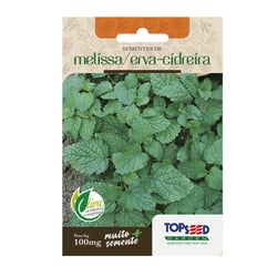 Sementes De Melíssa Erva Cidreira Topseed Garden - 1 Unidade