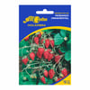 Sementes De Morango Ornamental All Garden - Jardim