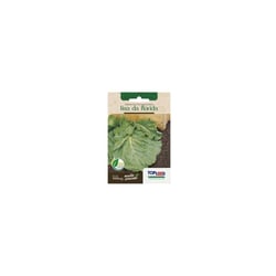 Sementes De Mostarda Lisa Da Flórida Tradicional Topseed Garden - 1 Unidade