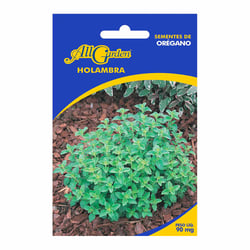 Sementes De Orégano All Garden Para Jardins