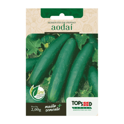 Sementes De Pepino Aodai Tradicional Topseed Garden - 1 Unidade