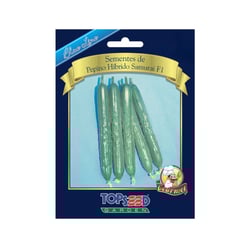 Sementes De Pepino Híbrido Samurai Gourmet Blue Line Topseed Garden - 1 Unidade
